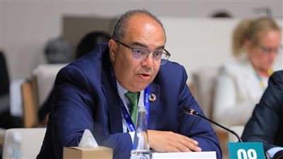 محيي الدين: ضرورة تعزيز مشاركة القطاع الخاص في تمويل وتنفيذ أنشطة التكيف