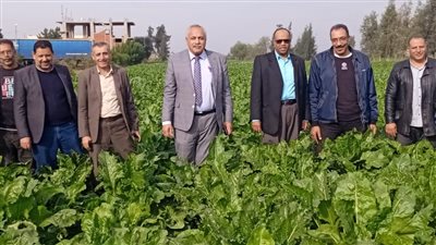 زراعة الغربية تكثف جهودها لمتابعة موسم الزراعات  الشتوية