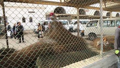 محافظ كفرالشيخ : تطوير وميكنة مجمع مواقف العاصمة وتزويده ببوابات الكترونية