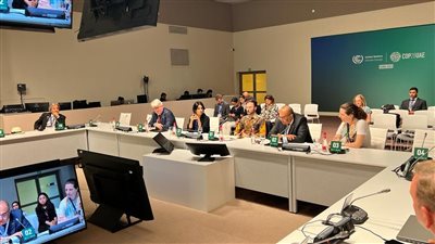 محيي الدين: تحقيق أهداف المناخ والتنمية يتطلب العمل وفق جداول زمنية محددة