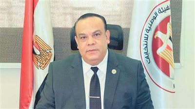 67  مليون مواطن لهم حق التصويت فى 11 ألفاً و631 لجنة فرعية على مستوى الجمهورية