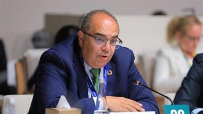 محيي الدين: مبادرة المشروعات الخضراء الذكية تقدم نهجًا عمليًا رائدًا