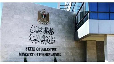 الخارجية الفلسطينية: استمرار الفشل في حماية المدنيين الفلسطينيين إجحاف بالقانون الدولي 