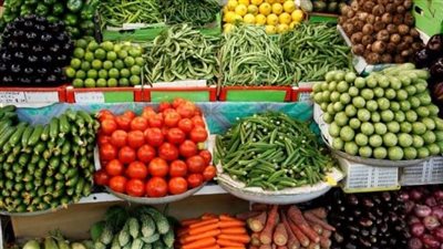 أسعار الخضراوات والفاكهة اليوم السبت بأسواق الفيوم 