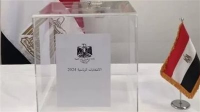  تقارير منظمات المجتمع المدني تؤكد وجود عدالة انتخابية (شاهد) 