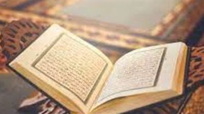 تعرف على أسباب ذكر الذباب في القرآن الكريم 