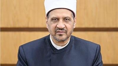 مجدي عاشور: الانتخابات تحقق استقرار المجتمع ووحدته