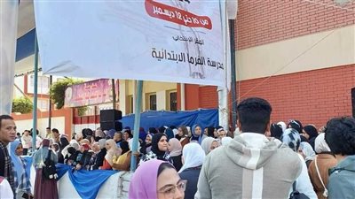 ائتلاف نزاهة الدولي: كثافة عددية أمام مقار التصويت بانتخابات الرئاسة المصرية