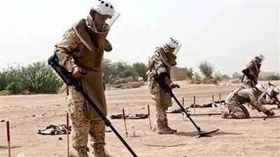 نزع 733 لغمًا في اليمن خلال أسبوع