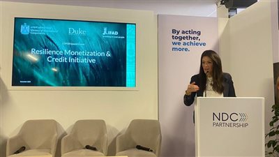 المشاط تؤكد ضرورة الاستجابة السريعة لجهود مواجهة التغيرات المناخية وزيادة الاستثمارات بمشروعات التكيف