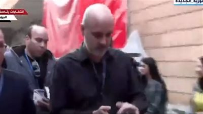 المراسلون الأجانب يتفقدون عددًا من اللجان الانتخابية (فيديو)