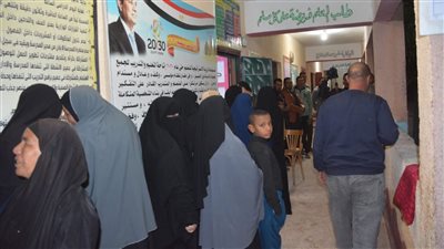  اللجان الانتخابية بالوادي الجديد تستعد لغلق أبوابها في تمام الساعة التاسعة مساءً