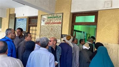 لليوم الثالث على التوالي.. إقبال الناخبين كثيف على لجان الانتخابات بالدقهلية