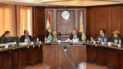   رئيس بعثة جامعة الدول العربية: نفتخر بشعب مصر ونحن ننتخب مع مصر 