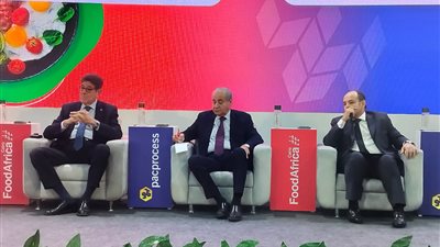 هاني بزري: 4.3 مليار دولار حجم الصادرات الغذائية المصرية حتى أكتوبر الماضي 