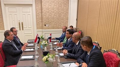 الملا يعقد مباحثات مع وزير الطاقة اليمنى والأمين العام لمنظمة الدول المصدرة للغاز 