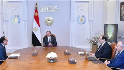 السيسي يتابع مستجدات أنشطة التعاون في مجال الري والموارد المائية مع دول حوض النيل