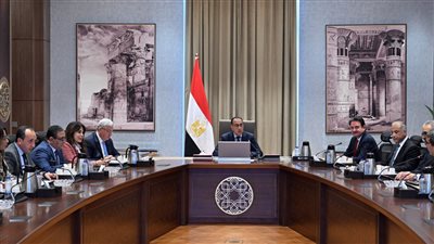 مدبولي يُعرب عن تقديره للتعاون القائم بين جامعتي تكساس سيستم و