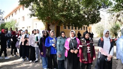 مشاركة قوية من ذوى الهمم وكبار السن فى الانتخابات الرئاسية 2024