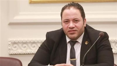  سالمان: مشاركة المصريين بكثافة في الانتخابات الرئاسية صورة مشرفة أمام العالم