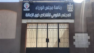 القومي للإعاقة: ذوي الهمم ضربوا مثل حقيقي في المشاركة الإيجابية بالانتخابات (فيديو)