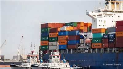 تداول 19 ألف طن بضائع عامة بميناء دمياط 
