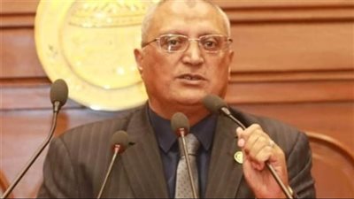 نائب: انتخابات الرئاسة 2024 عززت الوعى لدى المصريين