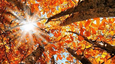 حر ولا برد.. تفاصيل حالة الطقس وأسباب ارتفاع وانخفاض درجات الحرارة