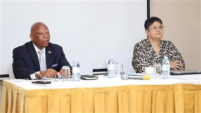 ‏ نميرة نجم: 20% فقط من حجم الهجرة العالمية غير نظامية