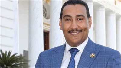 برلماني: مصر تدعم القضية الفلسطينية سياسيًا أو إنسانيًا ومعبر رفح لم يغلق على الإطلاق