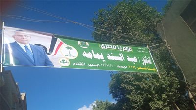 خبير تشريعات انتخابية: الرئيس السيسي يقدر الحياة الحزبية في مصر