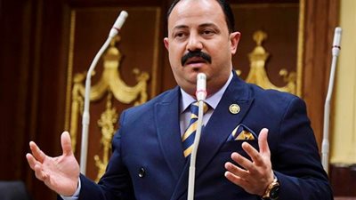 برلماني يصف نسبة المشاركة في الانتخابات السياسية بالاصطفاف الوطني