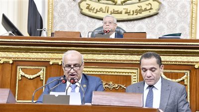 رئيس لجنة التعليم بالنواب يستعرض أهم ملامح قانون نقابة التكنولوجيين