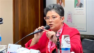 نميرة نجم: وصف الهجرة بأنها غير شرعية يتعارض مع مواثيق حقوق الإنسان 