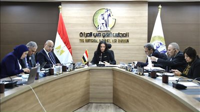 12 توصية لمنظمة تنمية المرأة لمطالبة المجتمع الدولي بالوقف الفوري للعدوان الإسرائيلي