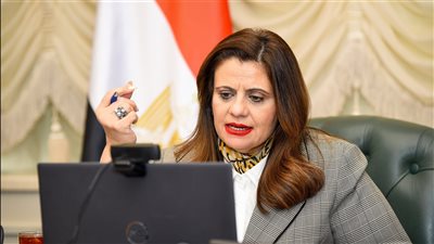 اقتراح توفير لجان انتخابية إضافية في مناطق تمركز المصريين بالخارج.. الهجرة توضح