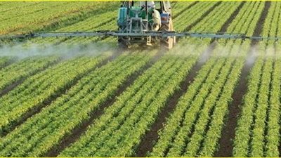 أستاذ بالقومي للبحوث: 70% من تربة مصر صالحة للزراعة