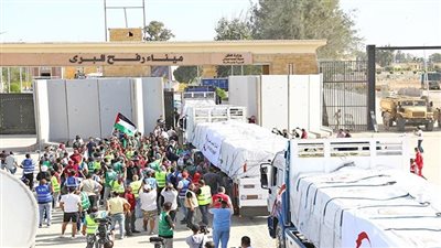 منظمات حقوقية: مصر تعاملت بحكمة خلال الأزمة.. وموقفها تجاه القضية الفلسطينية ثابت
