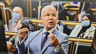 برلماني: المصريون جددوا ثقتهم في الرئيس السيسي لقيادة البلاد