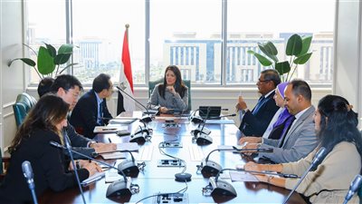 «المشاط» تبحث مع «جايكا» جهود تعزيز مشاركة القطاع الخاص في التنمية 