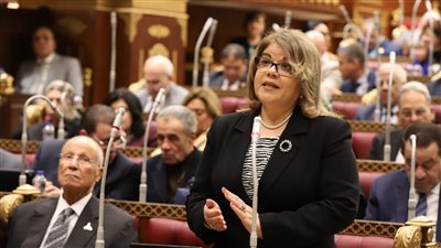 فيبي فوزي: المنطقة الاقتصادية لقناة السويس ستكون أهم مراكز الطاقة الخضراء دوليًا