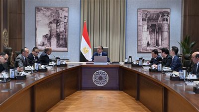 مدبولي يبحث مع شركتين صينيتين فرص الاستثمار بتصنيع الخلايا الشمسية وأشباه الموصلات