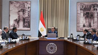 مدبولي يتابع موقف تنفيذ مشروع تنمية وتطوير منطقة شق الثعبان