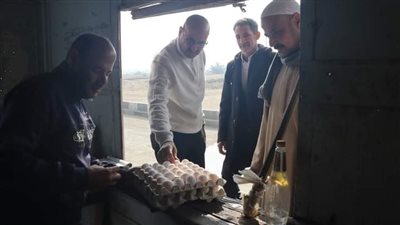 سكرتير بنى سويف يتابع سير العمل بمشروعات الدواجن