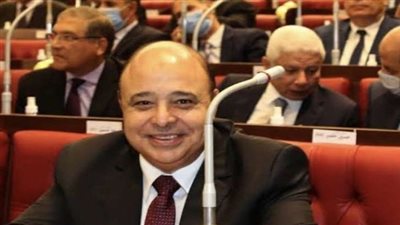 وكيل صحة الشيوخ: أزمة نقص الأدوية بالسوق نتيجة مؤامرة على مصر