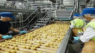 رئيس رابطة الصناعات: تحسين كفاءة وجودة تصنيع المنتجات الغذائية لتعزيز قدراتها التنافسية