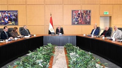 تفاصييل تنفيذ وحدات المبادرة الرئاسية 