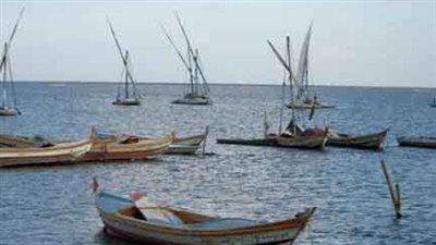 لليوم الثاني.. طقس شديد البرودة بكفر الشيخ واستمرار سقوط الأمطار 