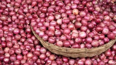 ضبط 150 ألف طن بصل مخزنة احتكارًا في الجيزة