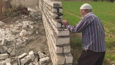 إزالة فورية لحالة تعدٍ على أرض أملاك دولة بقرية القناوية بقنا